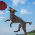 Thumbnail of post image 069